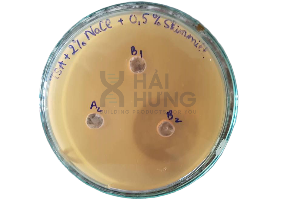 ENZYME ĐƠN & HỖN HỢP